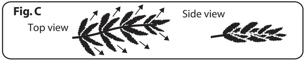 WILLIAMS SONOMA TG40P4798L01 Deluxe Noble Fir-4 LED Clear - section