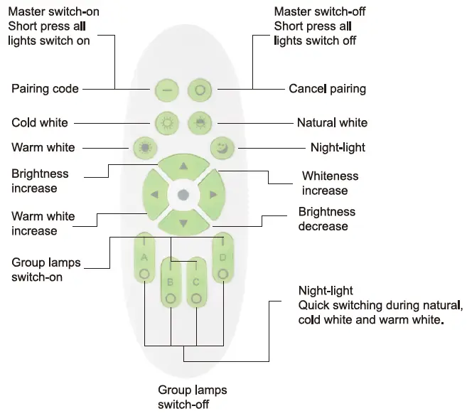 GREEN-LIGHT-57592-060-53-Interior-Ceiling-Light-fig- (3)