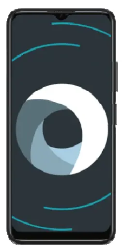 ORPYX-Sensory-Insoles-Digital-Display-Mobile-Phone-fig-1