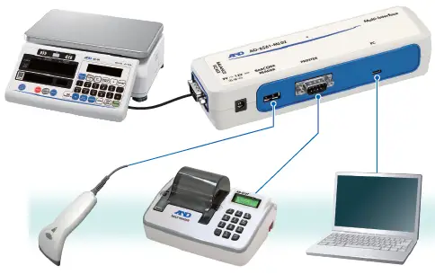 AND-GC-Series-Counting-Scales-12