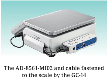 AND-GC-Series-Counting-Scales-14