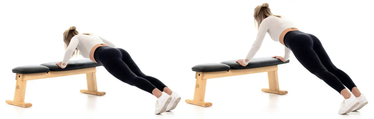 Flat Bench Push Up