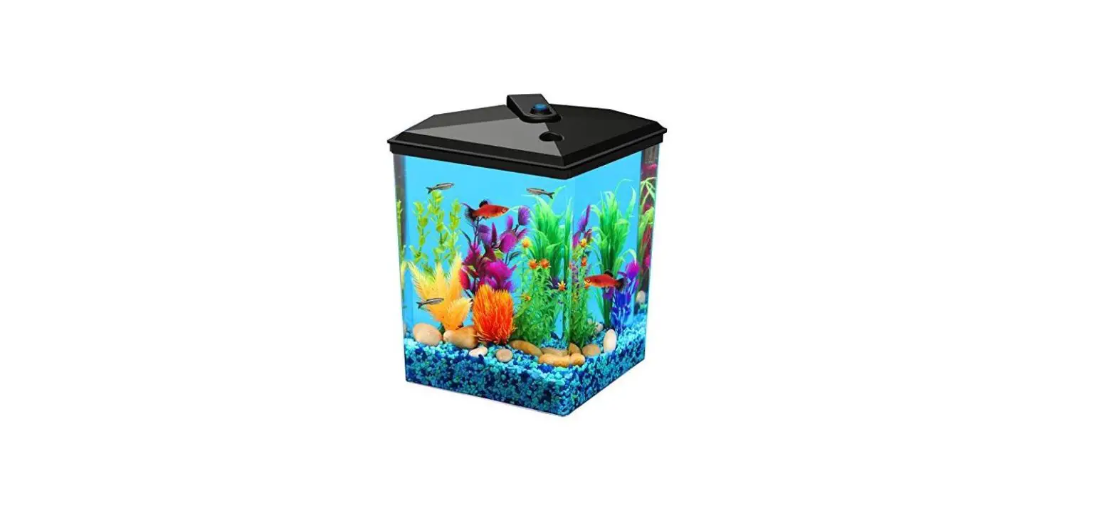 Koller Products How To Care For Your Plastic Fish Tank?