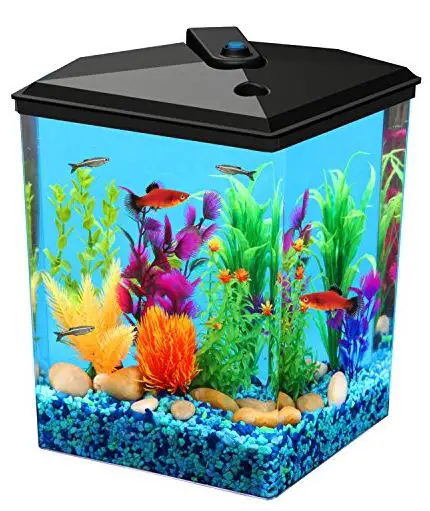 KOLLER-PRODUCTS-How-to-Care-for-Your-Plastic-Fish-Tank-PRODUCT
