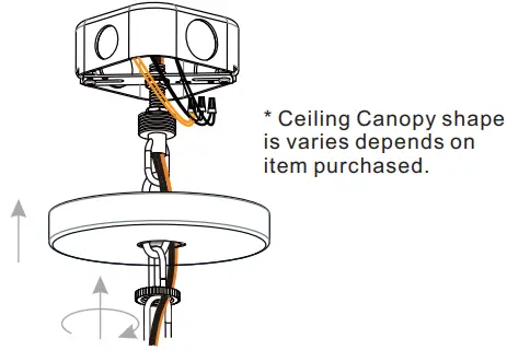 QUOIZEL FTS2821EK and FTS2821MM Fortress 5-Light Earth Black Pendant Ceiling Light-fig9