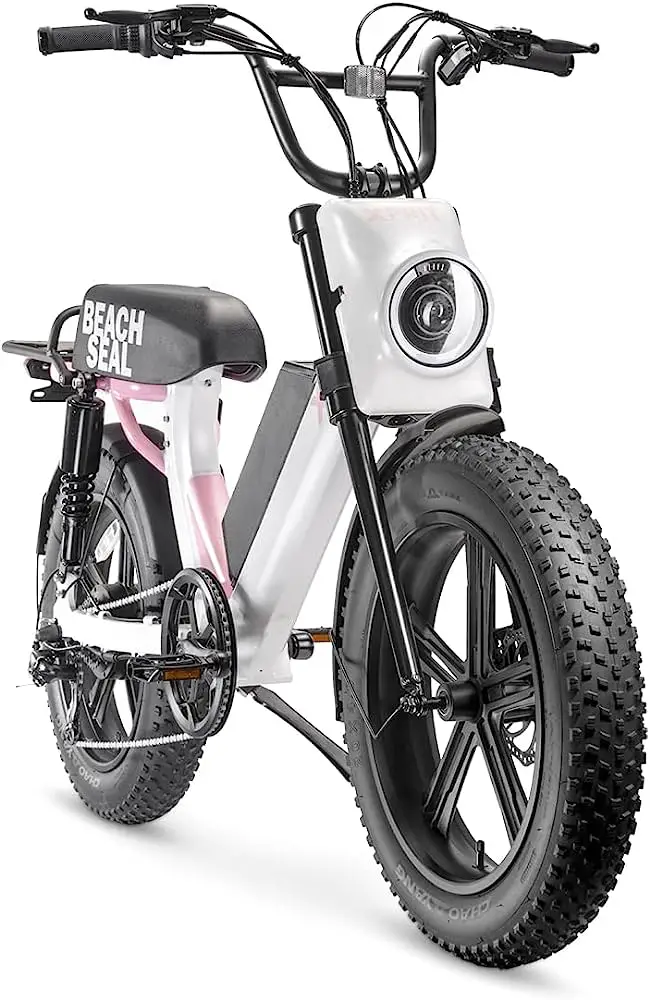 XPRIT-Beach-Seal-Electric-Bike-product