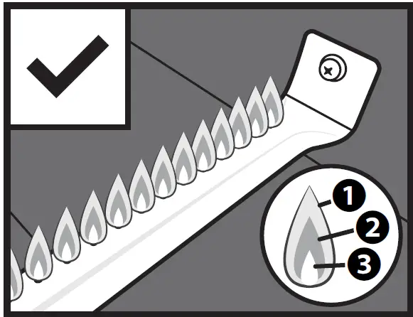 BLACKSTONE-1867-17-Griddle-for-Recreational-Vehicles-16