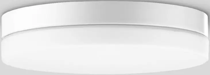 BEGA 12131.1 LED Ceiling and Wall Luminaire