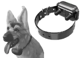 FunniPets-882-2600ft-Range-Dog-Shock-Training-Collar-FIG-4
