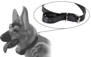 FunniPets-882-2600ft-Range-Dog-Shock-Training-Collar-FIG-6