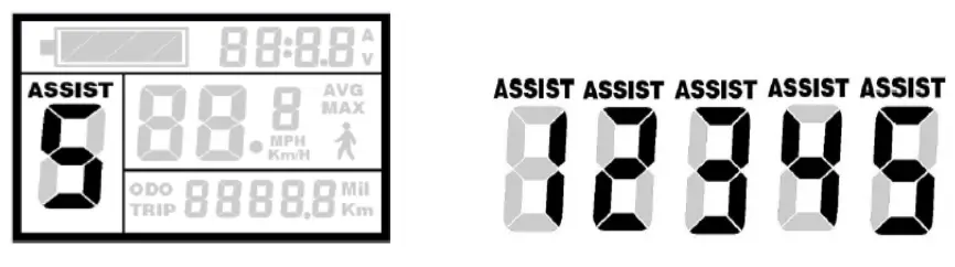 Pedal Assist & Throttle Power Controls