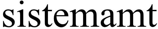 sistemamt logo 2