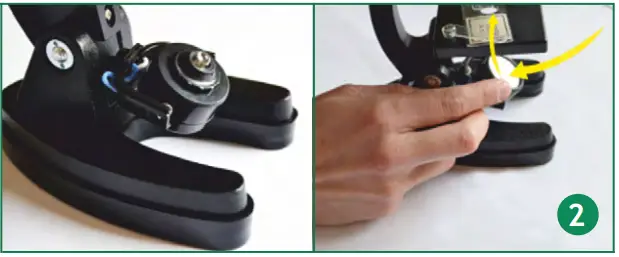 Using the microscope