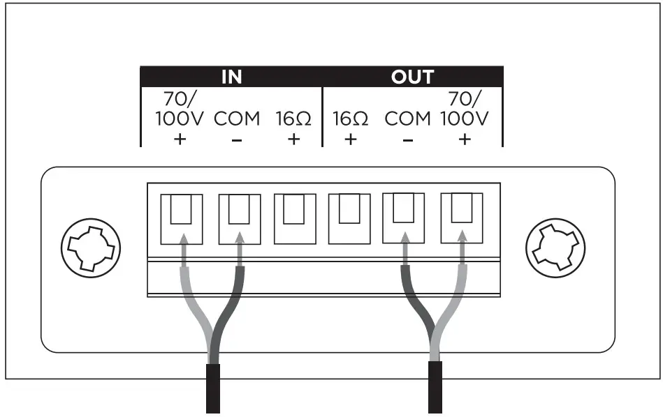 Wiring the Loudspeaker