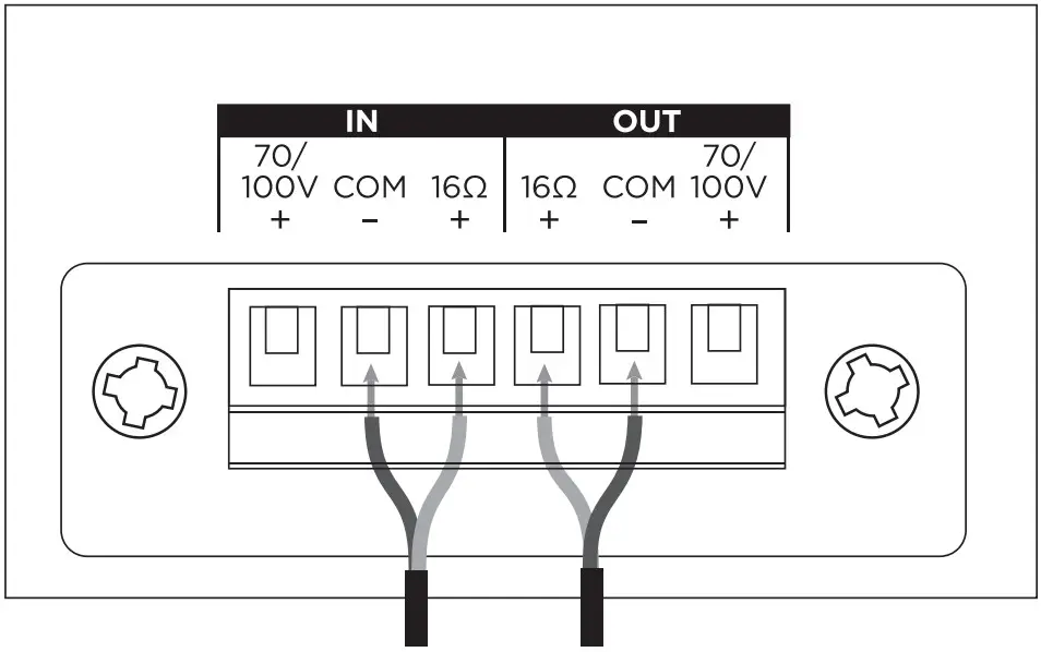 Wiring the Loudspeaker
