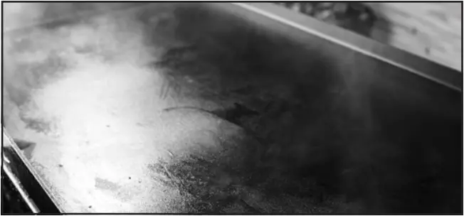 BLACKSTONE 1971 17 Inch Tabletop Griddle - e4