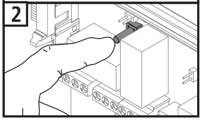 Input Auto Detection