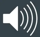 Volume Icon