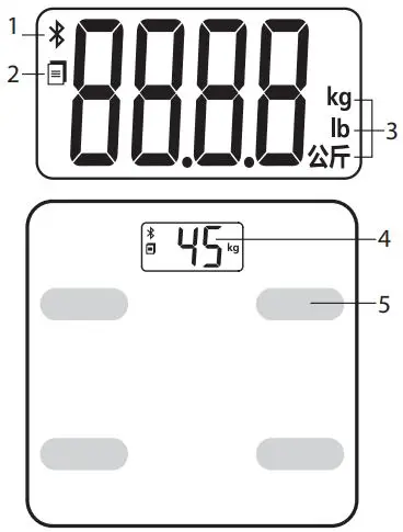 rossmax WF262 Bluetooth Body Fat Scale User Manual - Name Function of each parts