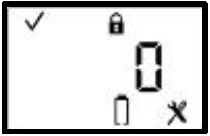 INDUSTRIAL-SCIENTIFIC-T40-II-Portable-Single-Gas-Monitor-fig-31