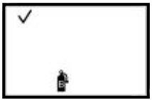 INDUSTRIAL-SCIENTIFIC-T40-II-Portable-Single-Gas-Monitor-fig-41