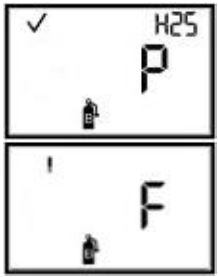 INDUSTRIAL-SCIENTIFIC-T40-II-Portable-Single-Gas-Monitor-fig-44