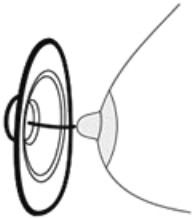 Paruu X2 Wearable Breast Pump - Nipple