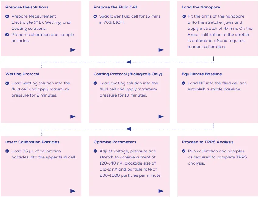 Nanopore Setup Overview