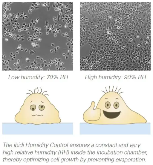 FIG 7 Accurate CO2 and O2 Control.JPG