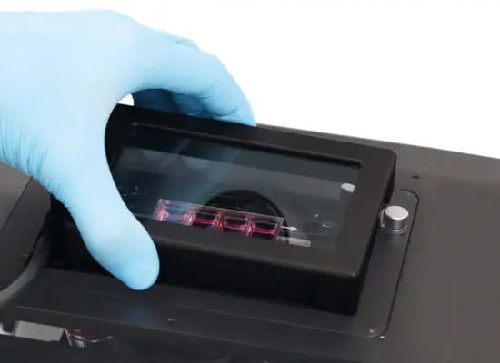 ibidi Live Cell Imaging Stage Top Incubators.jpg