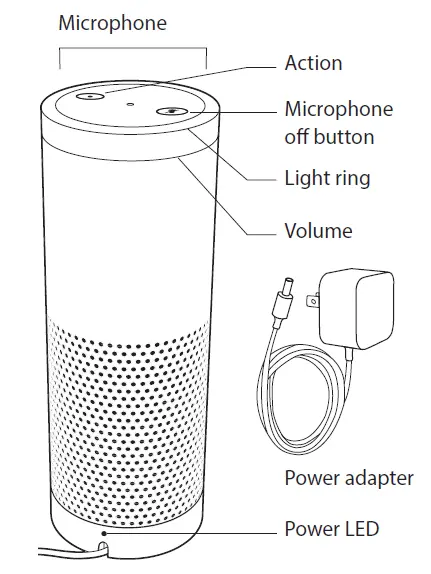 Getting to know Echo