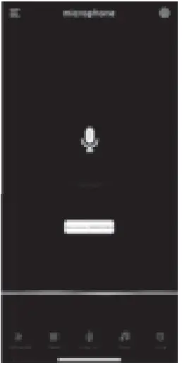 MICROPHONE INTERFACE