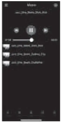 MUSIC CONTROL INTERFACE