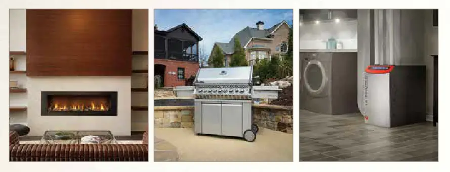 NAPOLEON BL36NTEA1 Ascent Pro Series Electronic Ignition Direct Vent Gas Fireplace - NAPOLEON CELEBRATING