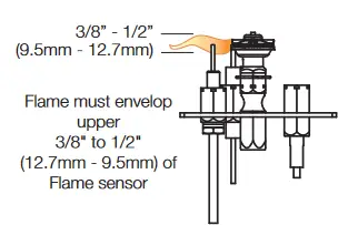 NAPOLEON BL36NTEA1 Ascent Pro Series Electronic Ignition Direct Vent Gas Fireplace - venturi 3