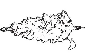 glitzhome-2014600095-9ft-Deluxe-Pre-Lit-Flocked-Pine-Artificial-Christmas-Tree-03