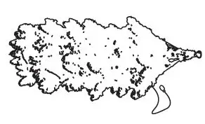 glitzhome-2014600095-9ft-Deluxe-Pre-Lit-Flocked-Pine-Artificial-Christmas-Tree-04