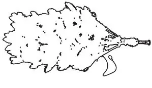 glitzhome-2014600095-9ft-Deluxe-Pre-Lit-Flocked-Pine-Artificial-Christmas-Tree-05