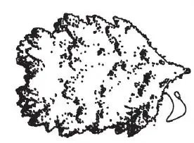 glitzhome-2014600095-9ft-Deluxe-Pre-Lit-Flocked-Pine-Artificial-Christmas-Tree-12