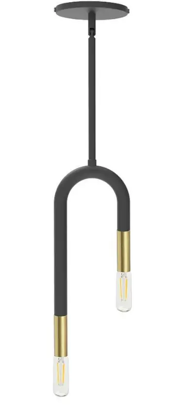 Dainolite WAN-152P-MB-AGB Wand 2-Light Matte Black Modern Pendant Light-product