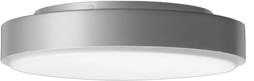 Ceiling and Wall Luminaire