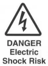 Danger Electric Shock Risk Icon