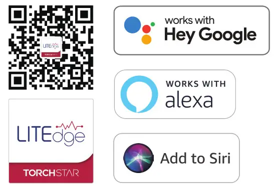 LeonLite Lite Edge 4-Light Smart Ceiling Fixture