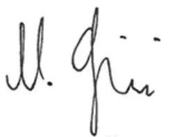 HILTI GX 3 Gas Actuated Fastening Tool  - Sine