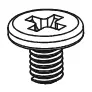 Radiator Screw