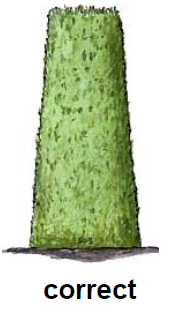 Westfalia-873902-710W-Electric-Hedge-Trimmer-FIG-5