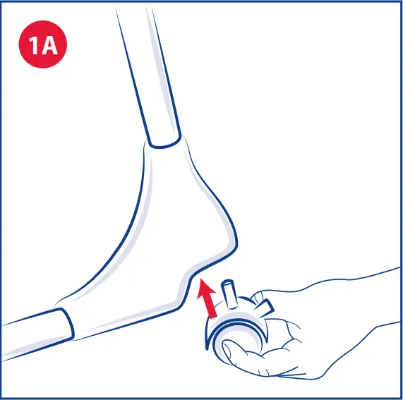 chicco Polly 2 Start - Figure 1A