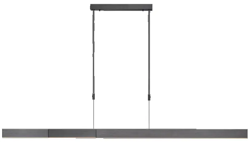 Paul Neuhaus PURE-MOTO Pendant Light