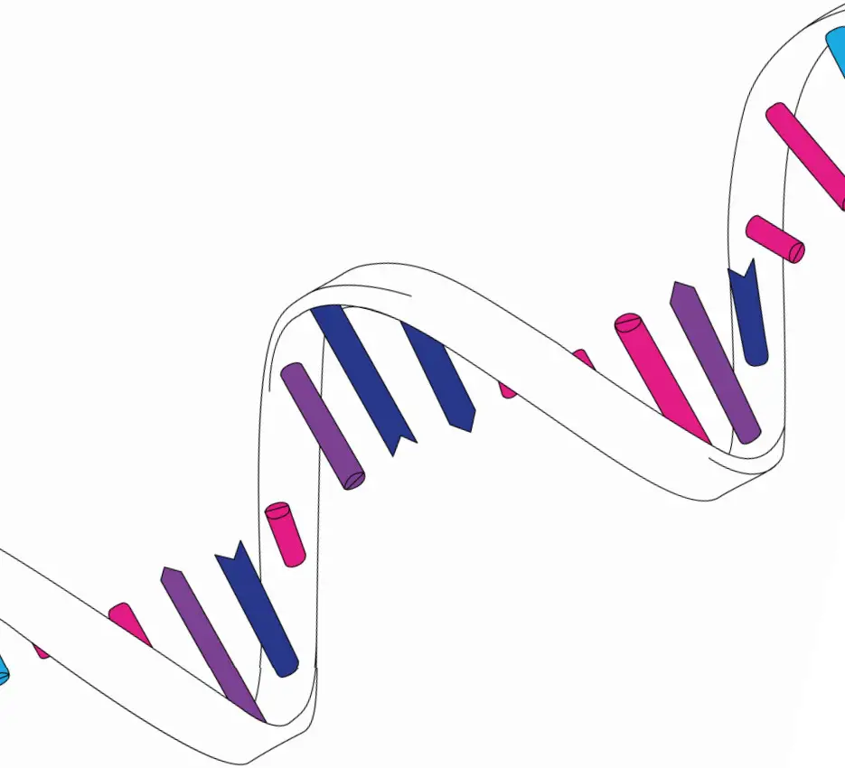 Izon qEV RNA Extraction Kit