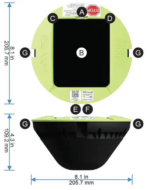 RealmFive-100-00732-Guardian-fig- (2)